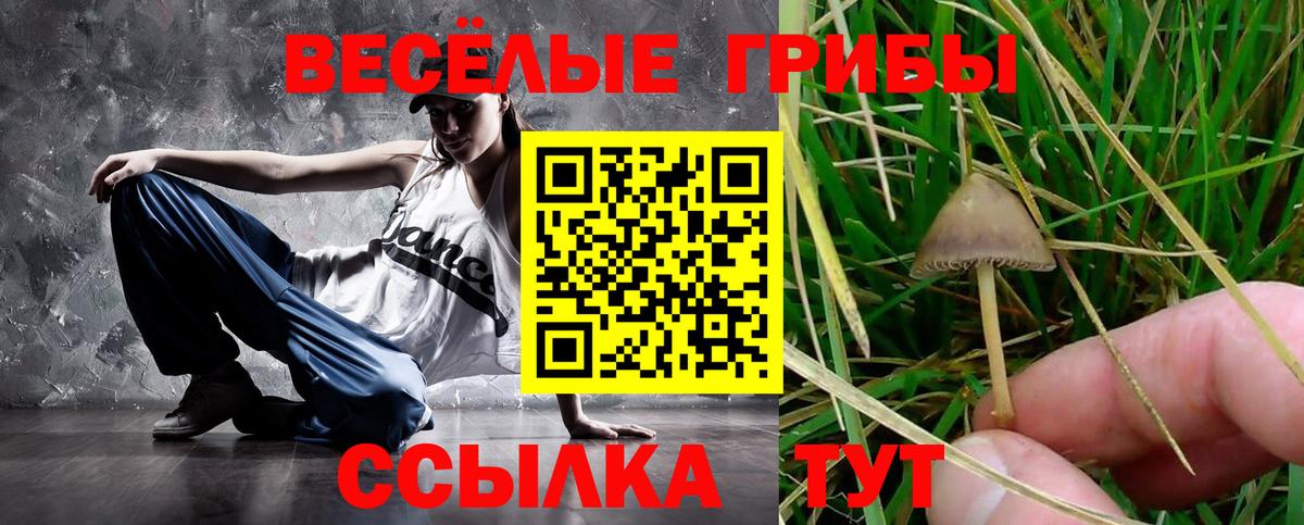 Псилоцибиновые грибы ЛСД  Вход с VPN  Глазов  Галлюциногенные грибы MAGIC MUSHROOMS 